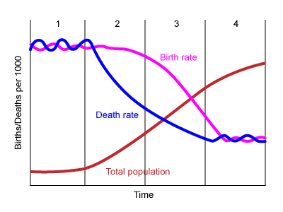 demographic transition coursenotes biology