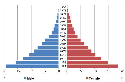 Image result for population pyramid