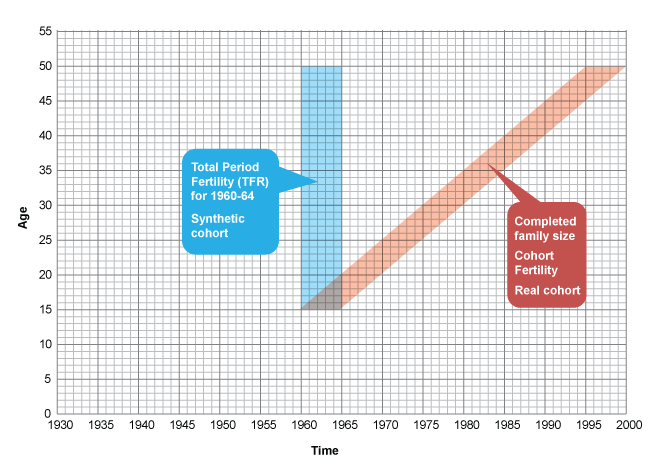 Healthy Life Expectancy spreadsheet