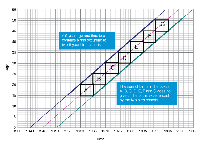 Lexis diagram 2