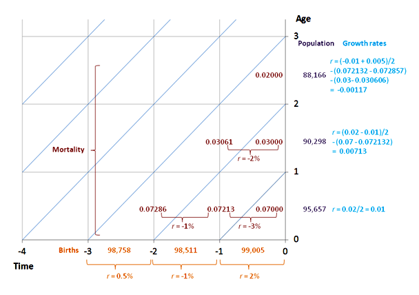 Age-specific growth from past rates
