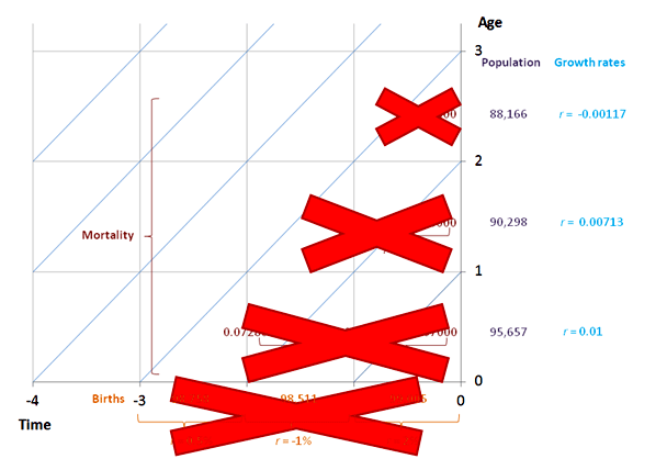 Age-specific growth from past rates 